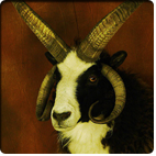four-horned sheep